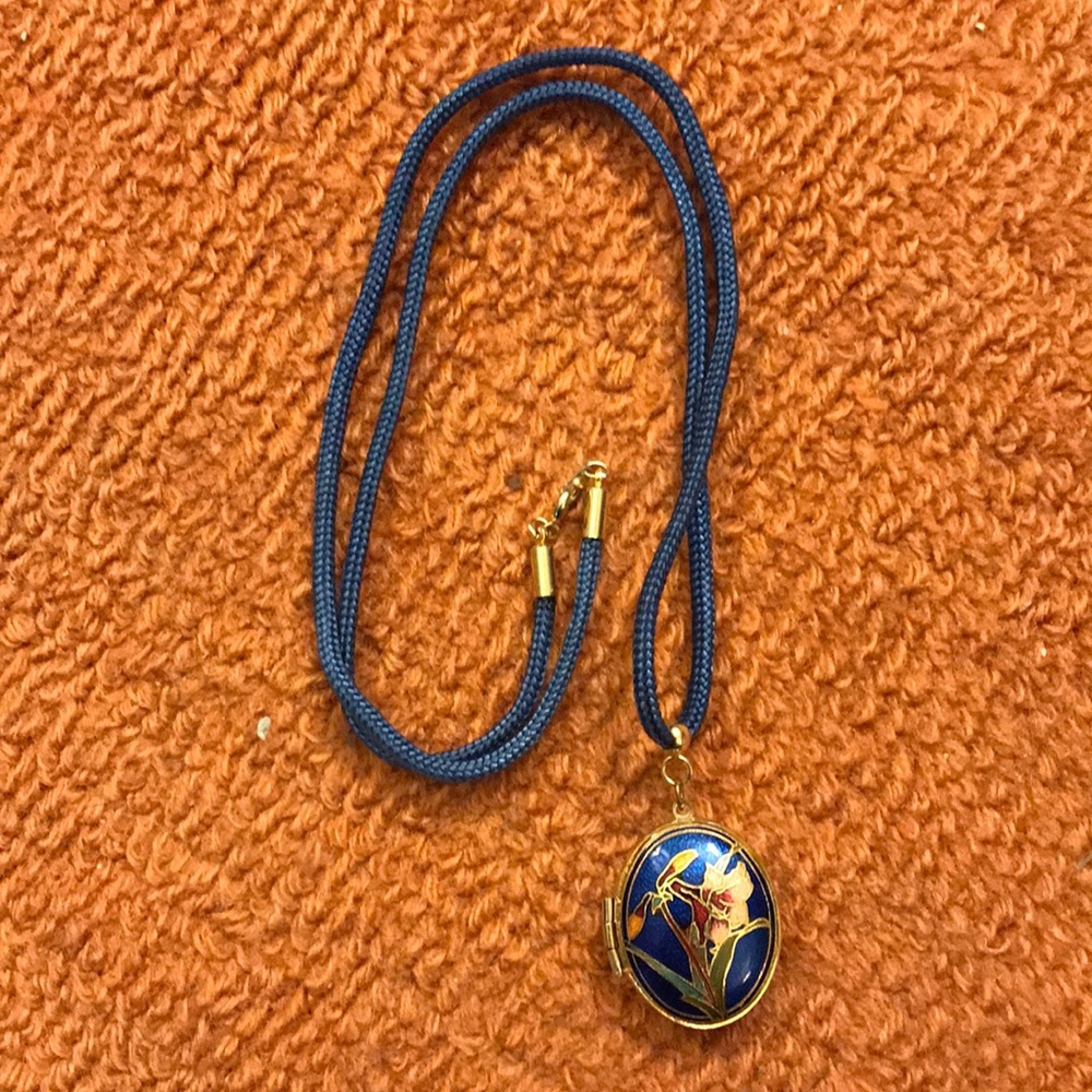 Gorgeous vintage cloissone blue locket on cord necklace.